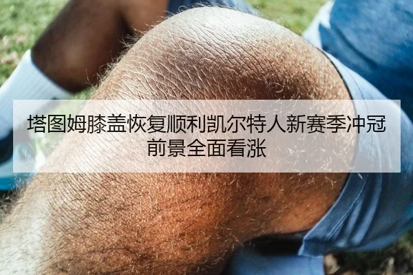 塔图姆膝盖恢复顺利凯尔特人新赛季冲冠前景全面看涨