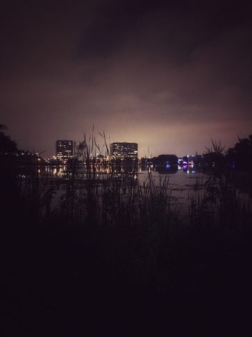 Peace. Not Paralysis.