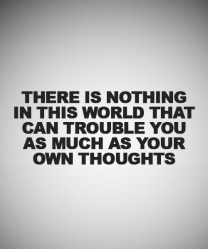 Winner Winner Donkey Dinner (2)